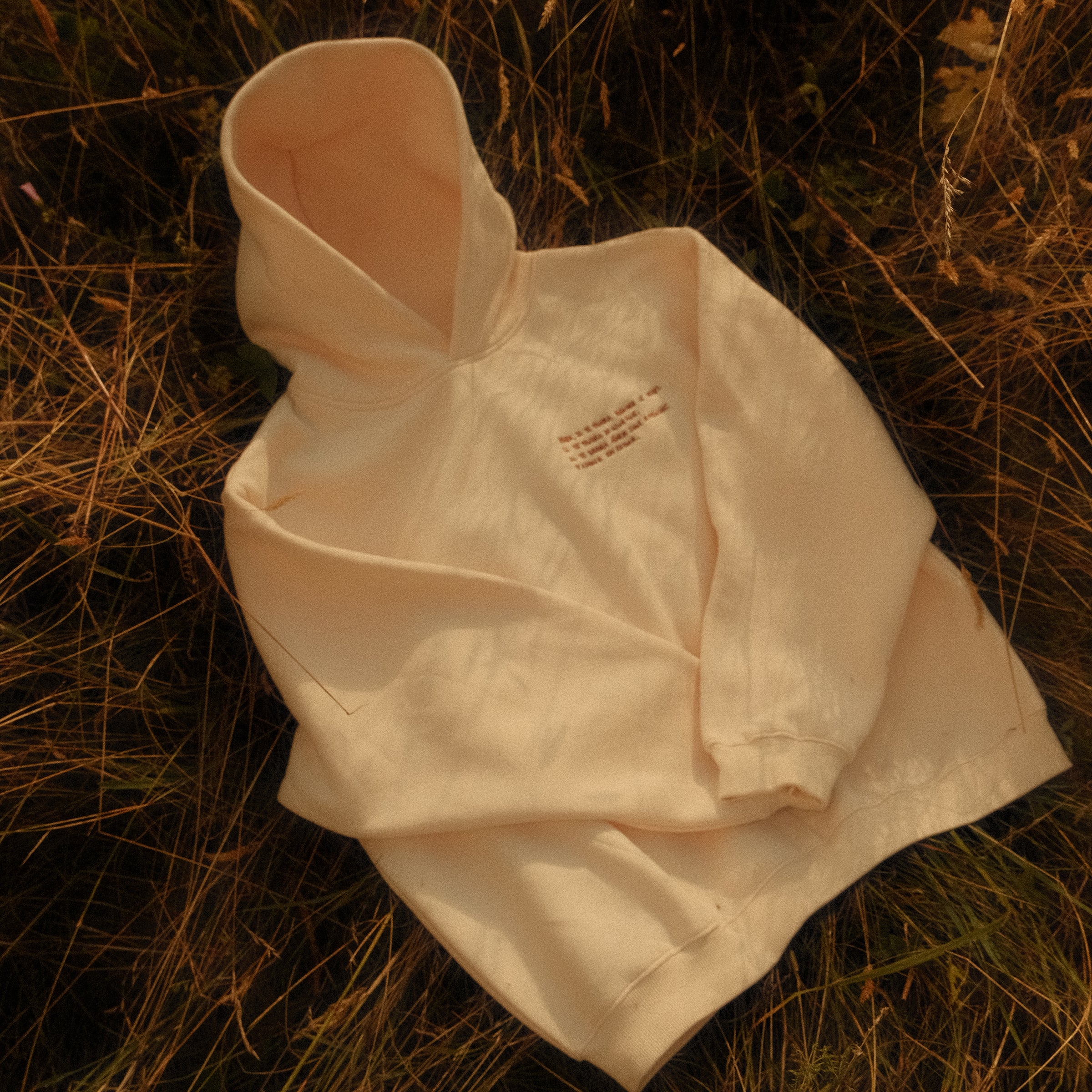 Il te faudra du temps Hoodie